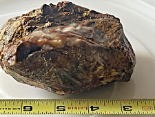 petrified wood silica quartz conglomerate agate chalcedony collection science picture