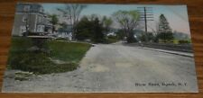 HAND COLORED POSTCARD~RIVER ROAD NYACK NEW YORK A1 picture