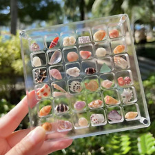 Acrylic Magnetic Seashell Display Box, Transparent, 36 Grids picture