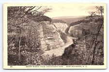 Postcard Below Middle Falls Letchworth Park Near Rochester New York Albertype Co picture