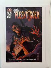 Pilot Season:Fleshdigger #1, Francavilla Cover, Image Comics/Top Cow, NM, 2011 | picture