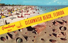 Clearwater Beach FL Florida, Greetings Sunbathers Seashells, Vintage Postcard picture