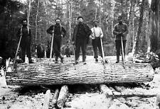 1880-1899 The Loggers, Michigan Old Photo 13