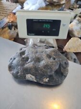 Montana Yellowstone River Agate 1.45 LBS, 658 Grams Whole uncut/ Old Stock picture