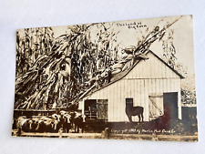 Antique RPPC Exaggerated Postcard 