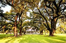 Cane River Creole National Historic Park Louisiana Home Plantation postcard picture