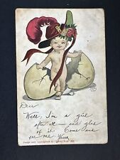 Signed by DWIG Baby Hatching From Egg Postcard 1908 R93 picture