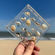 Acrylic Magnetic Seashell Display Box,Portable Grids Diamond Beads Organizer Box picture