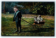 Postcard First Drive Boy Pulling Cart with Terrier c1910 Photochrome Tuck Dogs picture