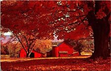Greetings Rhineback New York Scenic Autumn Landscape Chrome Cancel WOB Postcard picture