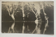Vintage RPPC Postcard c1909 ~ Mountain Reflection Scene in Haines Alaska AK picture