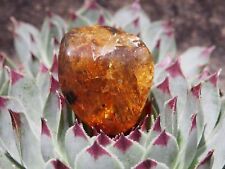 Fully Polished Mexican Amber 6.3 g picture