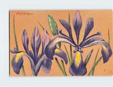 Postcard Narrow Blue-Flag (Iris Prismatica) picture