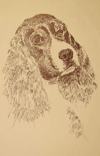 English Springer Spaniel Dog Art Portrait Print #56 Kline adds dog name free. picture