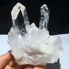 1.14lb Natural Clear Quartz Cluster Specimen Crystal Reiki Healing Decor Gift picture