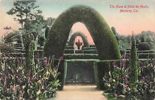 The Maze at Hotel del Monte, Monterey, California CA - 1907 Vintage Postcard picture