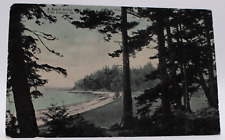 c1900s A Beach Scene Near Seattle Tide Coming In Antique Vintage Postcard Unpost picture