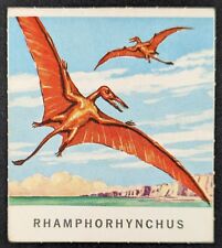Rhamphorhynchus 1964 Nu-Card Prehistoric Dinosaurs Creatures Card #15 (EX) picture
