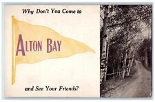 1912 Why Dont You Come Alton Bay See Your Friends New Hampshire Banner Postcard picture