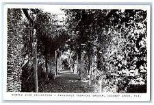 1954 Fairchild Tropical Garden Coconut Grove Florida FL RPPC Photo Postcard picture