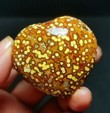 Rare 55.3G Natural Polished Orbicular Ocean Jasper Heart Reiki Healing WYY2388 picture