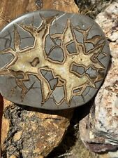 About 5” Polished SEPTARIAN GEODE End Slab - Utah picture