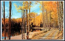 Postcard Deep In The Forest Cool Shadows Hidden Greetings From Palenville NY P45 picture