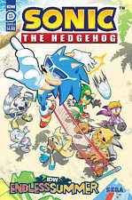 Idw Endless Summer--Sonic The Hedgehog Cover A (Yardley) picture