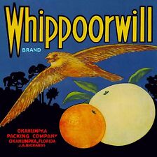 Okahumpka Florida Whippoorwill Brand Orange Citrus Fruit Crate Label Art Print picture