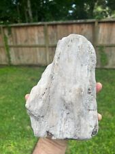 Texas Petrified Wood 9x6x2 Unique Natural Rotted Log Piece Manning Formation picture