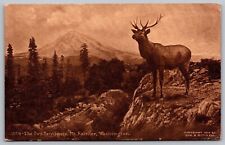 Two Sentinels Mt Rainier Washington WA Antique Postcard c1909 PM Avery ID Cancel picture