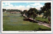 Minnesota MN - Greetings from Litchfield - Vintage Postcard - Posted picture