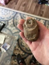 Paleolithic old native American Indian portable rock art picture