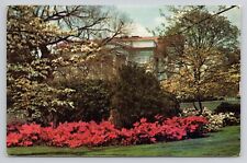 Garden of the Governor's Mansion Chrome Postcard 1240 picture