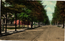 Cleveland Avenue Looking North Canton Ohio Divided Postcard 1910s picture