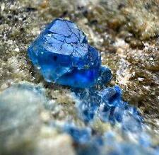 118 CT Extremely Rare, Full Terminated Royal Blue Hauyne Crystals on Matrix @AFG picture