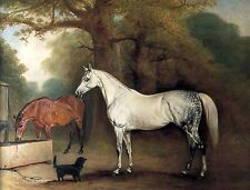 Art Oil painting John-E-Ferneley-I-Two-Horses-and-a-Dog in landscape art picture