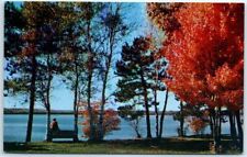 Postcard - Man Sitting on Bench and Trees During Autumn Season picture