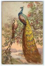 c1930's Peacock Scene Branch Of Tree Animals Unposted Vintage Postcard picture