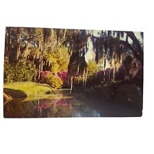 Postcard Bayou Wonderland Jungle Gardens Flowers River Avery Island Chrome LA picture