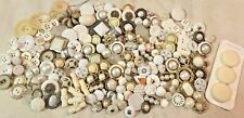 Vintage Button Lot - White/Ivory Buttons - Over 200 Pieces (A3) picture