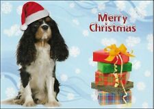 Cavalier King Charles Spaniel Christmas Card ~Tri Color ~ 5 Cards picture