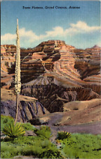 Tonto Plateau Grand Canyon National Park Arizona AZ Linen Vintage Postcard L61 picture