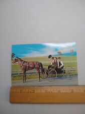 Postcard - The Amish Courting Buggy - Pennsylvania picture