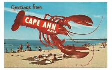 Greetings Cape Ann MA Postcard Massachusetts picture