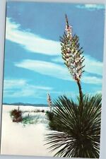 Yuccas in the Greate White Sands New Mexico picture
