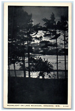c1940's Moonlight on Lake Michigan Kenosha Wisconsin WI Vintage Postcard picture