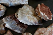 Stinking Water Plume Agate Rough Lot Oregon 5 Pounds picture