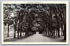 Princeton IL Illinois, Elm Place, Tree Covered Lane, Vintage Postcard picture