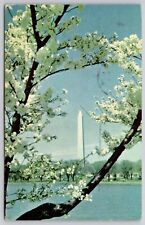 Washington Monument Cherry Trees Historical DC Government Statue WOB PM Postcard picture
